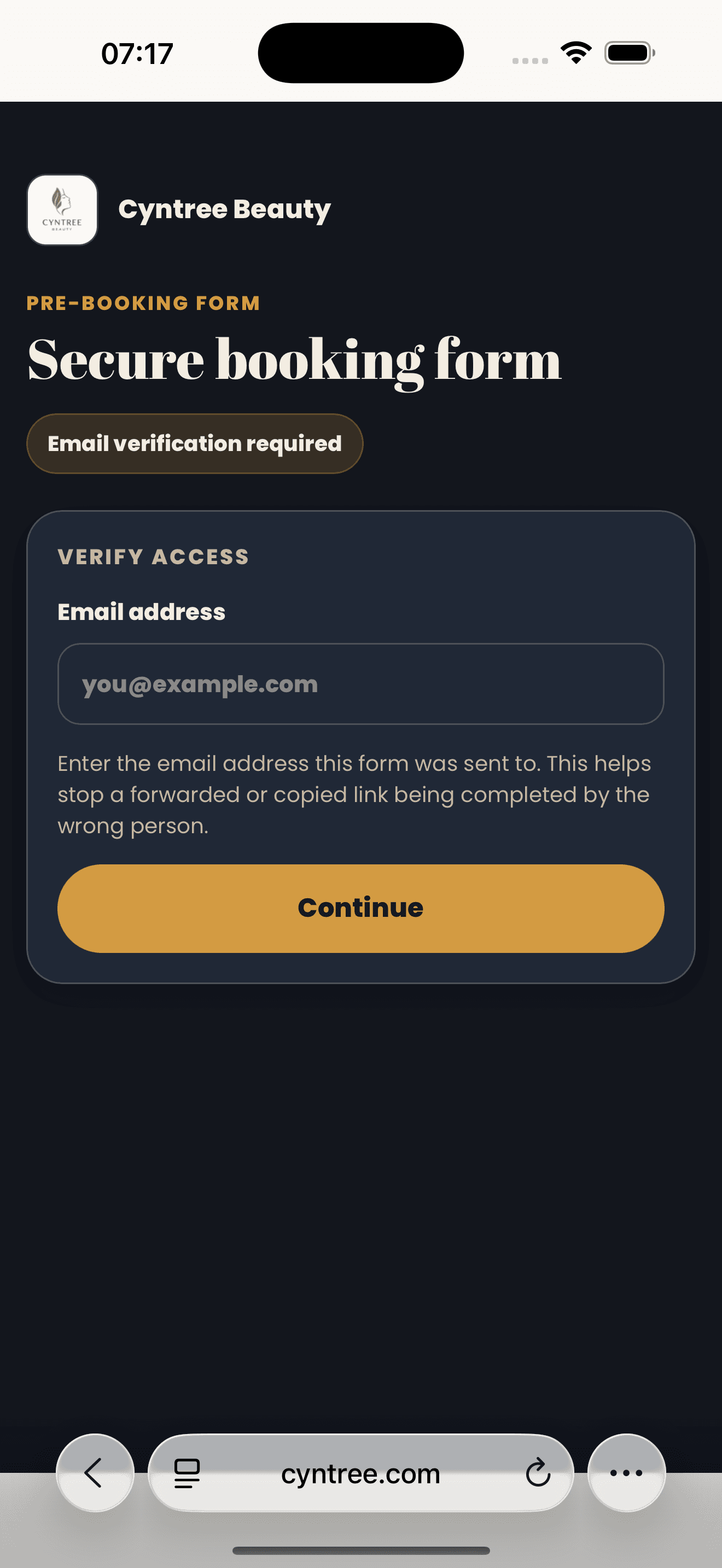Client-facing email verification gate titled Verify access asking the recipient to enter the email this form was sent to